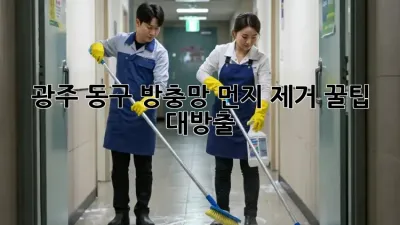 광주 동구 방충망 먼지 제거🧹✨ 꿀팁 대방출!